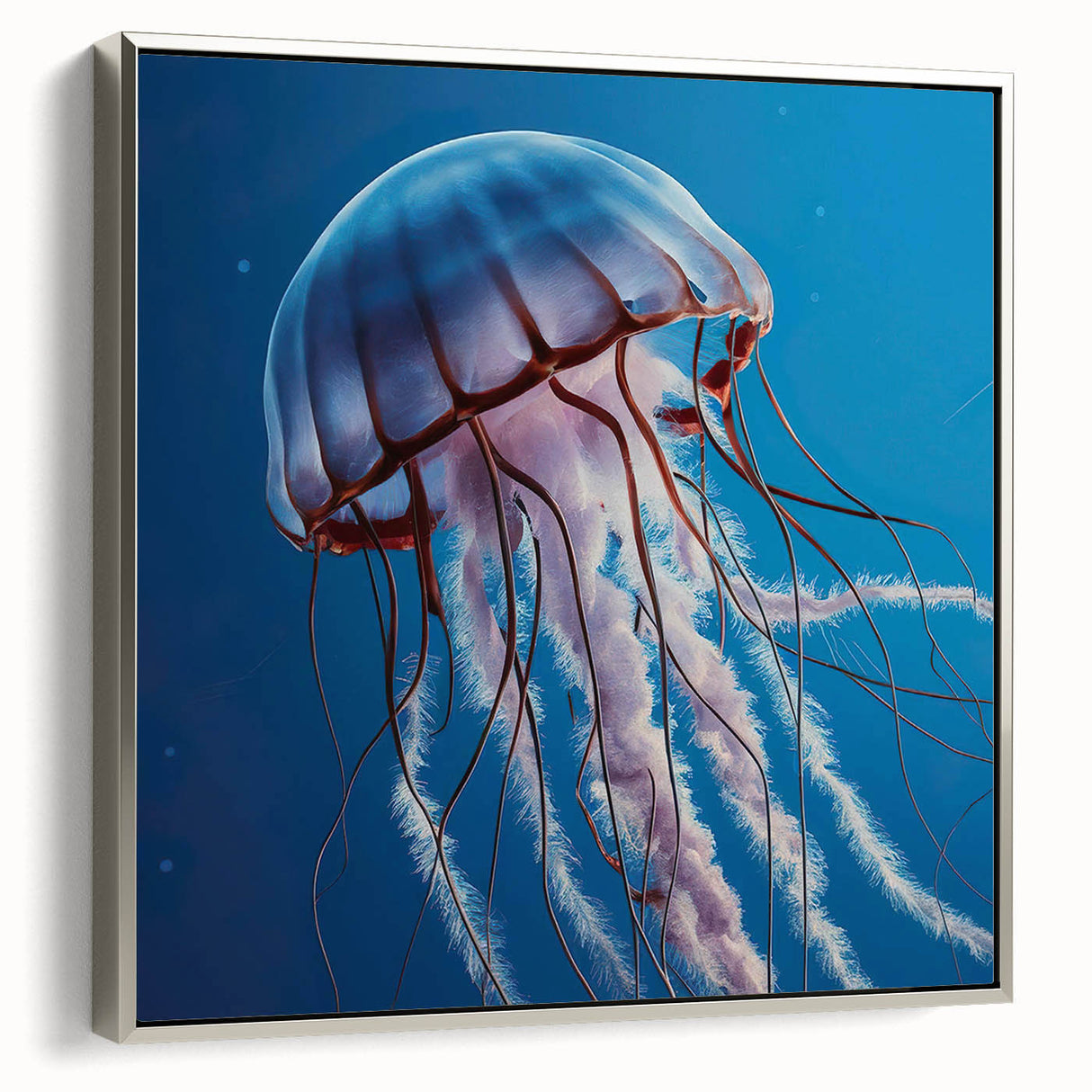 Framed canvas wall art showcasing an elegant silver jellyfish design, perfect for marine life enthusiasts, enhancing home decor with a contemporary touch.