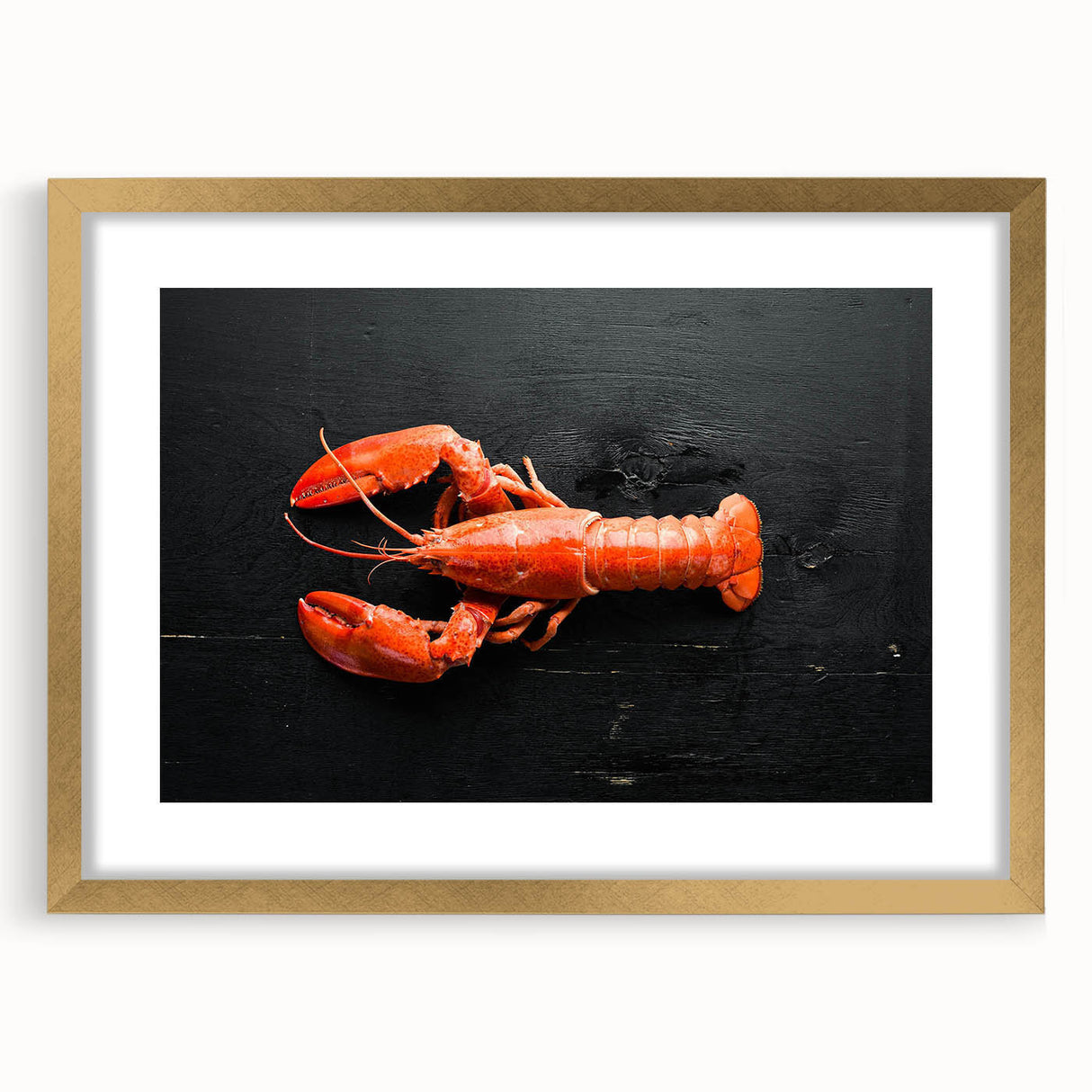 Lobster-themed wall art design in a gold frame with a white mat, showcasing vibrant marine life illustration, perfect for nautical decor enthusiasts.