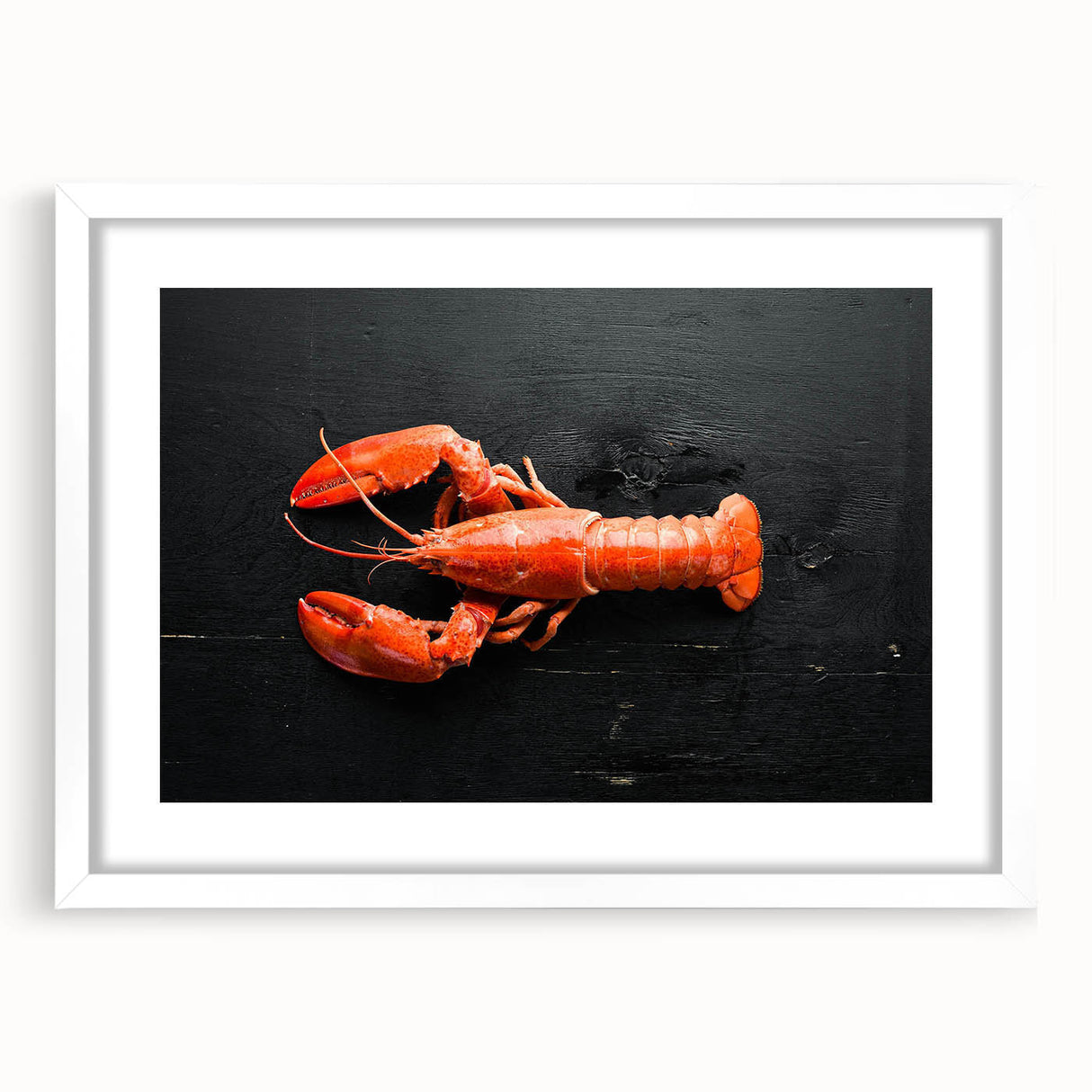 Lobster-themed wall art design featuring intricate marine life illustrations, framed in a sleek white mat, perfect for coastal decor enthusiasts.