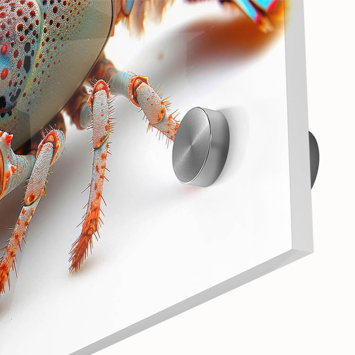 Close-up of a vibrant marine life wall art piece showcasing a detailed lobster design, printed on high-quality acrylic glass, ideal for ocean-themed decor.
