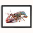 Framed black wall art featuring a detailed lobster design in vibrant colors, perfect for marine life enthusiasts, enhancing home decor with ocean-themed elegance.