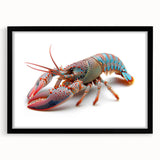 Framed black wall art featuring a detailed lobster design in vibrant colors, perfect for marine life enthusiasts, enhancing home decor with ocean-themed elegance.