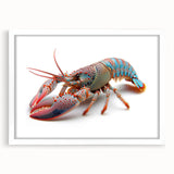Framed wall art featuring a vibrant marine life design showcasing a colorful lobster against a white backdrop, perfect for ocean-themed home decor.