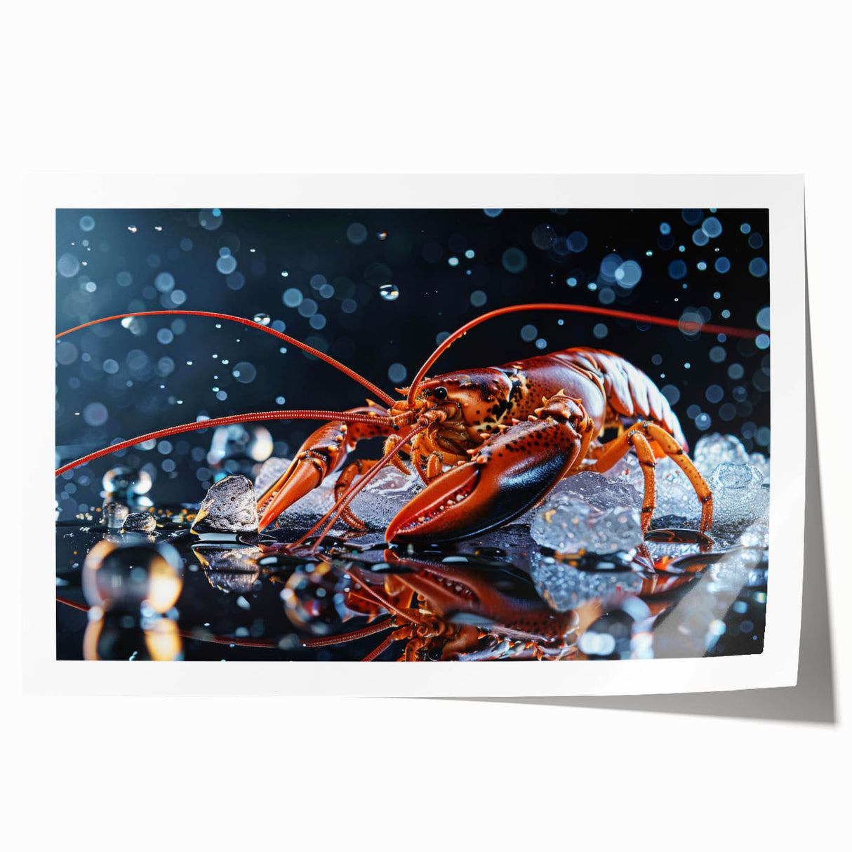 Vibrant rolled art print showcasing a detailed marine life design featuring a lobster, perfect for ocean-themed decor. The print highlights intricate colors and textures, ideal for enhancing interior spaces.