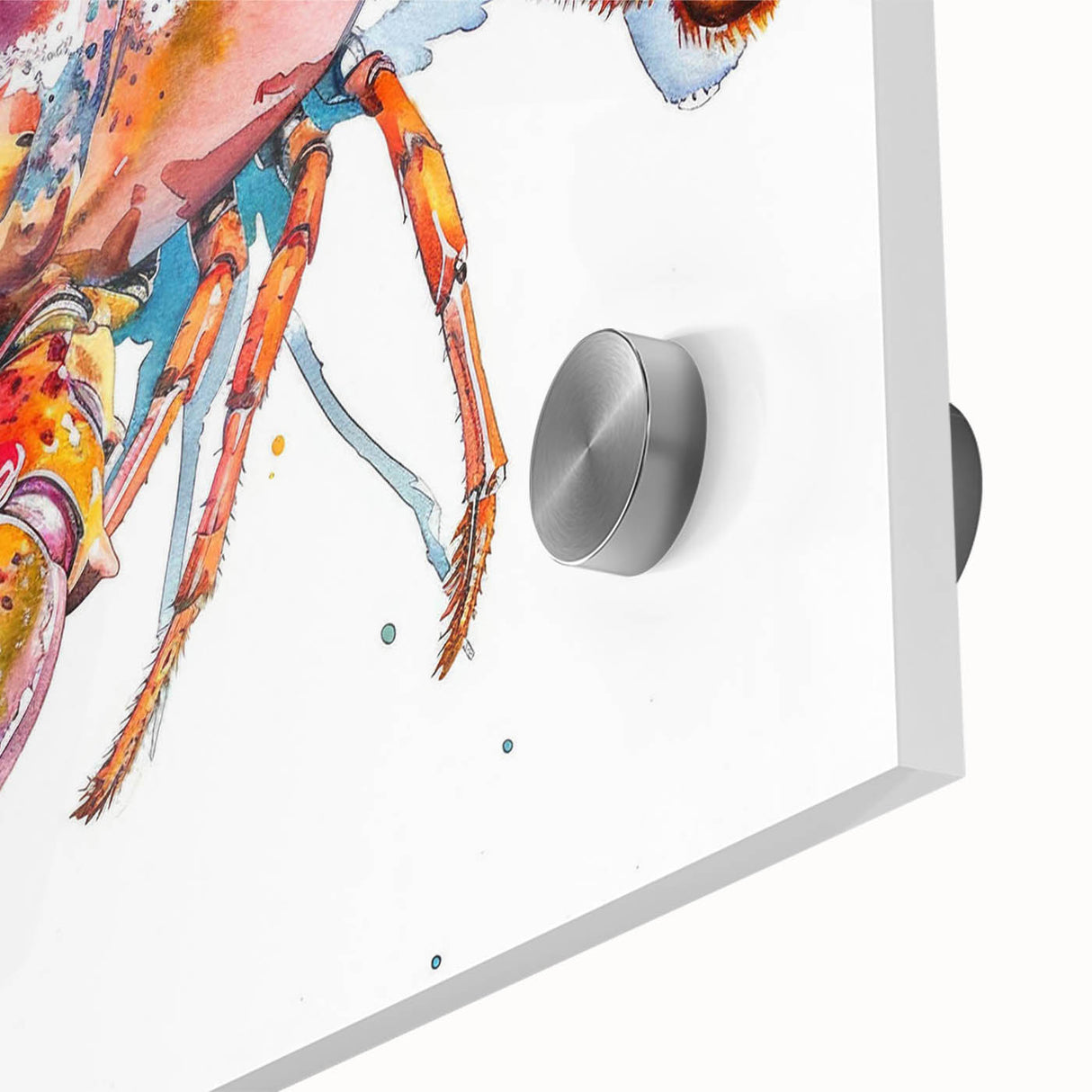Close-up of vibrant lobster wall art design on acrylic glass, showcasing intricate marine life details with bright colors, perfect for ocean-themed decor.