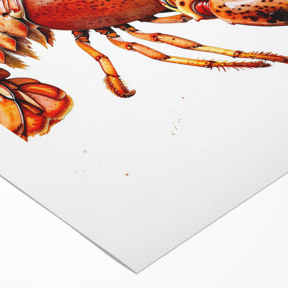 Vibrant lobster-themed wall art design on rolled canvas, showcasing intricate marine life details in bright colors, perfect for ocean-themed decor.