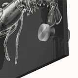 Close-up of a vibrant lobster design wall art piece, featuring intricate details and vivid colors, printed on acrylic glass for a striking marine life decor.