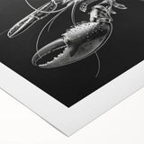 Lobster-themed wall art design on rolled canvas, showcasing vibrant colors and intricate marine life details, elegantly packaged in a protective cardboard tube.