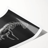 Vibrant lobster wall art print showcasing intricate marine life details, perfect for coastal decor. Features vivid colors and a dynamic design, rolled for easy display.