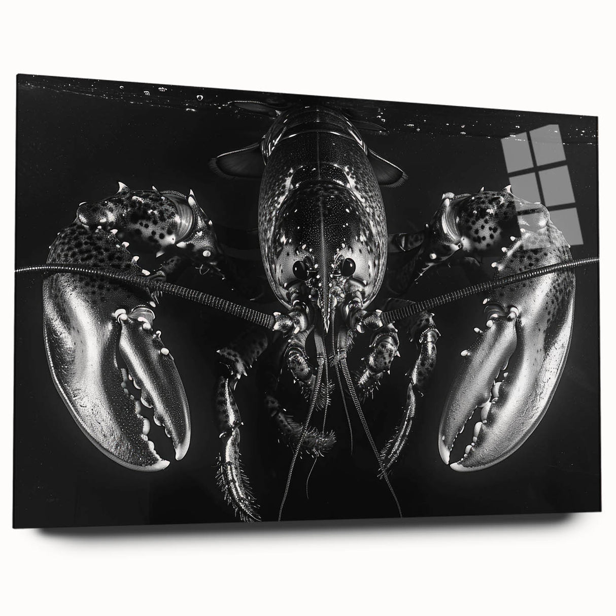 Side view of a vibrant marine life wall art collection featuring a detailed lobster design printed on acrylic glass, perfect for coastal-themed decor. The artwork showcases rich colors and intricate textures, ideal for adding a nautical touch to any space.
