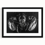 Elegant wall art collection featuring a marine life lobster design in a sleek black frame, showcasing vibrant colors and intricate details, ideal for ocean-themed decor.