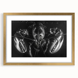 Gold-framed wall art featuring a detailed lobster design, perfect for marine life enthusiasts. The artwork is elegantly matted, showcasing vibrant colors and intricate details ideal for home decor.
