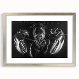 Framed wall art showcasing a detailed lobster design in vibrant colors, set against a sleek silver frame with a mat, perfect for marine-themed decor. Ideal for enhancing coastal aesthetics in homes or offices.