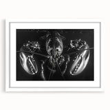 Lobster-themed wall art framed in white, showcasing intricate marine life design. Ideal for coastal decor, adding a touch of oceanic charm to any room.