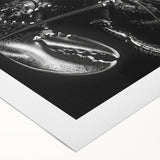 Vibrant rolled canvas artwork showcasing a detailed lobster design, perfect for marine life enthusiasts, featuring rich colors and intricate textures. Ideal for coastal-themed decor.