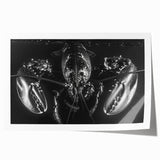 Lobster-themed wall art print showcasing vibrant marine life design with intricate details on a rolled canvas, perfect for ocean-inspired decor.