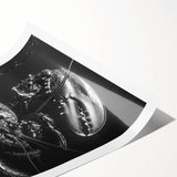 Lobster-themed wall art print showcasing vibrant marine life in colorful detail, rolled for easy display and shipping, ideal for ocean enthusiasts and decor lovers.