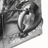 Close-up of a vibrant lobster wall art design printed on acrylic glass, showcasing intricate details and vivid colors, perfect for marine life enthusiasts. Ideal for coastal-themed decor or seafood restaurant ambiance.