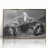 Framed acrylic wall art showcasing a vibrant lobster design, featuring gold accents and a contemporary style, perfect for marine-themed interior decor.