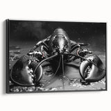 Framed wall art featuring a detailed lobster design in vibrant colors, showcasing marine life with a sleek black frame, perfect for ocean-themed decor.
