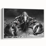 Framed wall art featuring a vibrant marine life lobster design on a white background, showcasing intricate details and colors, ideal for coastal decor.