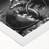 Colorful rolled canvas artwork showcasing a vibrant lobster design, perfect for marine life enthusiasts. Ideal for home decor or coastal-themed spaces.