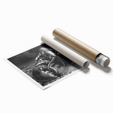 Colorful rolled print of marine life-themed wall art showcasing a detailed lobster design, ideal for ocean-inspired home decor. Perfectly packaged for protection.