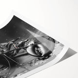 Vibrant wall art print featuring a detailed marine life design of a lobster, showcasing rich colors and intricate textures, ideal for ocean-themed decor.