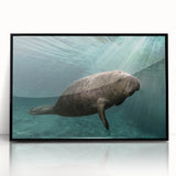 Framed acrylic wall art featuring a vibrant marine life design with a manatee, showcasing detailed colors and textures, perfect for ocean-themed decor.