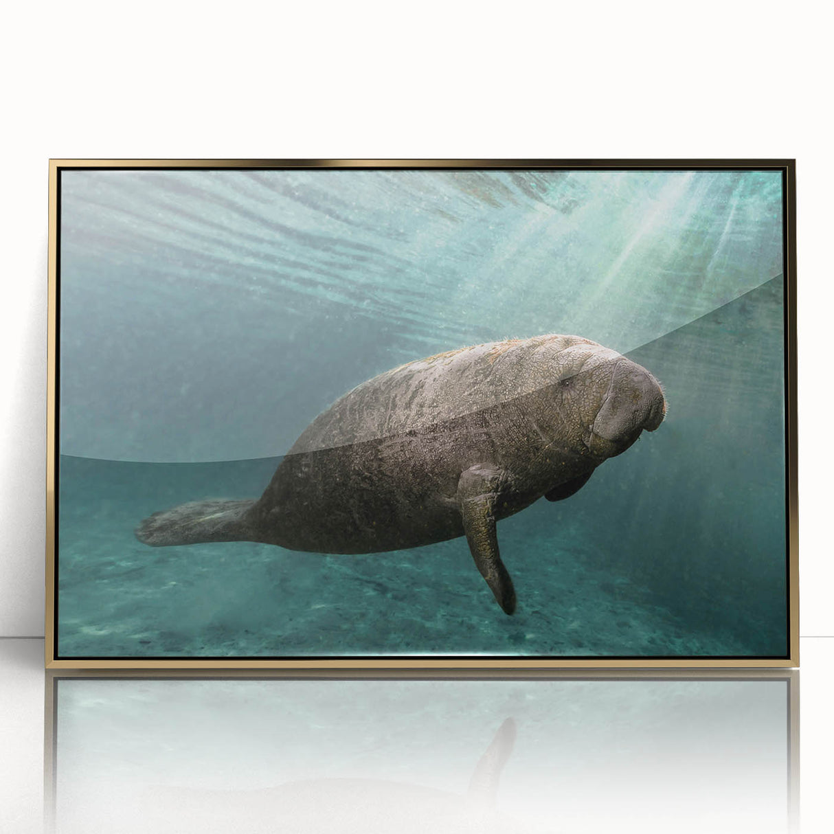 Framed acrylic wall art featuring a vibrant manatee design in gold, showcasing marine life. Ideal for adding a coastal vibe to home decor.