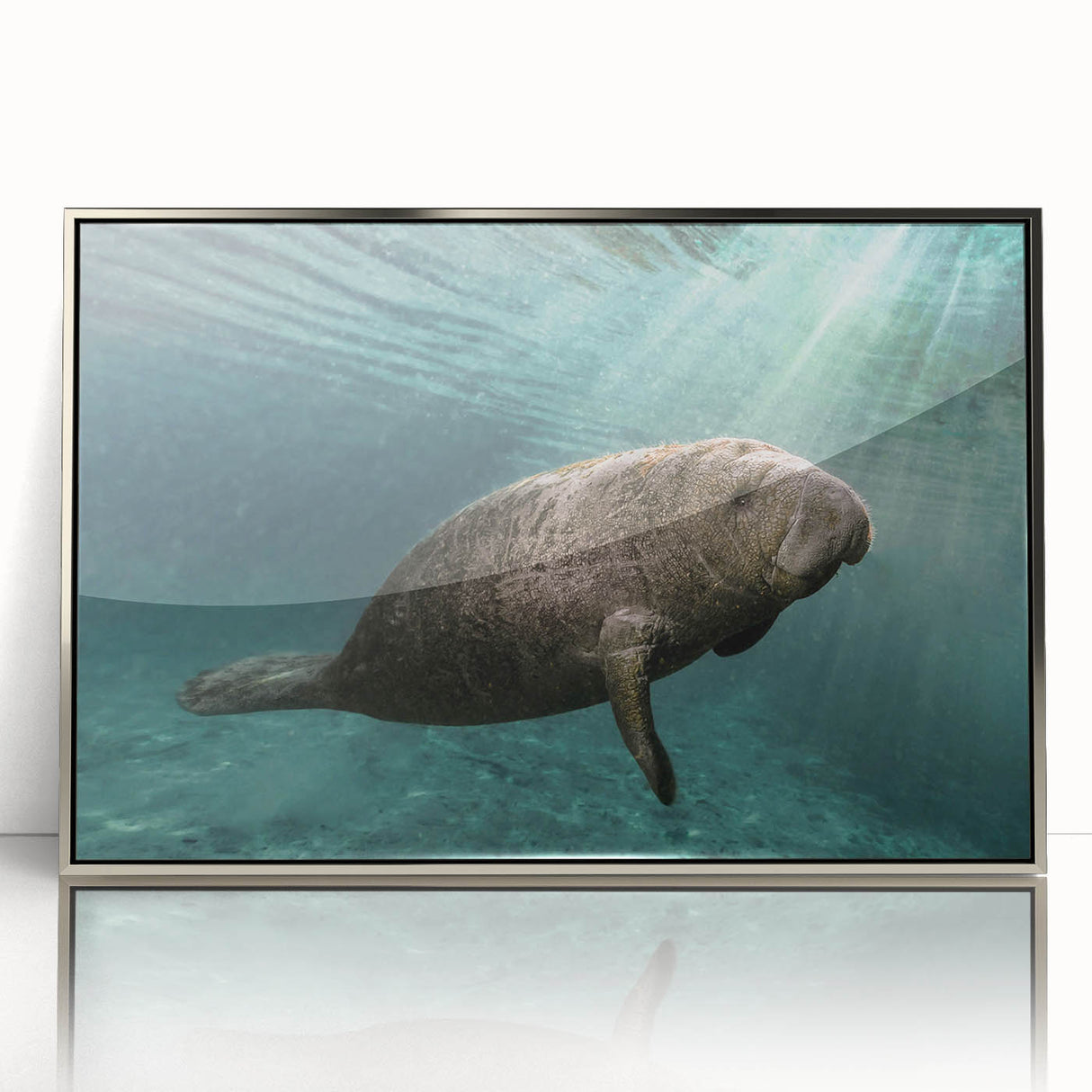 Framed wall art featuring a detailed marine life design showcasing a manatee in vibrant colors, set in a sleek silver frame, ideal for coastal-themed decor.