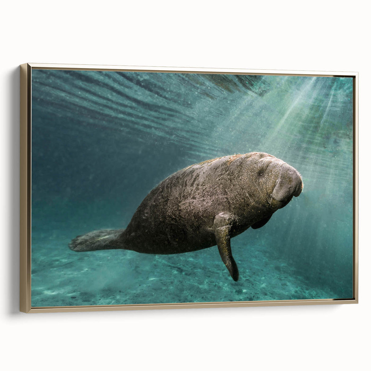 Framed wall art featuring a vibrant marine life design of a manatee, set against a calming ocean backdrop with gold accents, perfect for coastal decor enthusiasts.