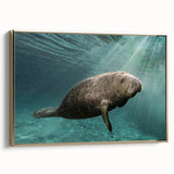 Framed wall art featuring a vibrant marine life design of a manatee, set against a calming ocean backdrop with gold accents, perfect for coastal decor enthusiasts.