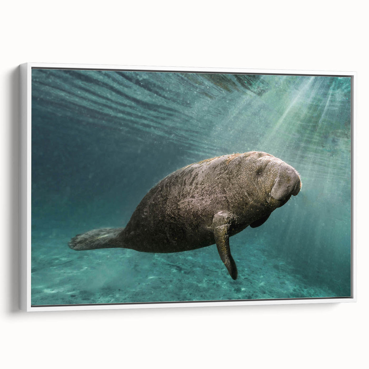 Framed canvas wall art featuring a vibrant marine life design with a manatee, showcasing shades of blue and green, perfect for ocean-themed decor.