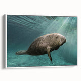 Framed canvas wall art featuring a vibrant marine life design with a manatee, showcasing shades of blue and green, perfect for ocean-themed decor.
