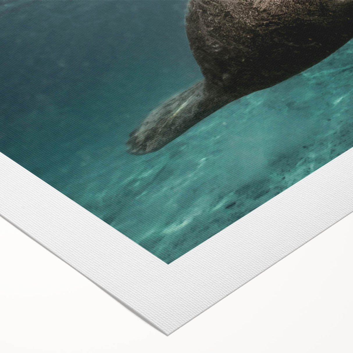 Rolled canvas artwork showcasing a vibrant marine life design featuring a serene manatee swimming in a colorful underwater setting, ideal for ocean-themed decor.