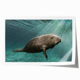 Vibrant wall art print showcasing a whimsical manatee design surrounded by marine life, ideal for ocean-themed decor, presented in a rolled format for easy framing.
