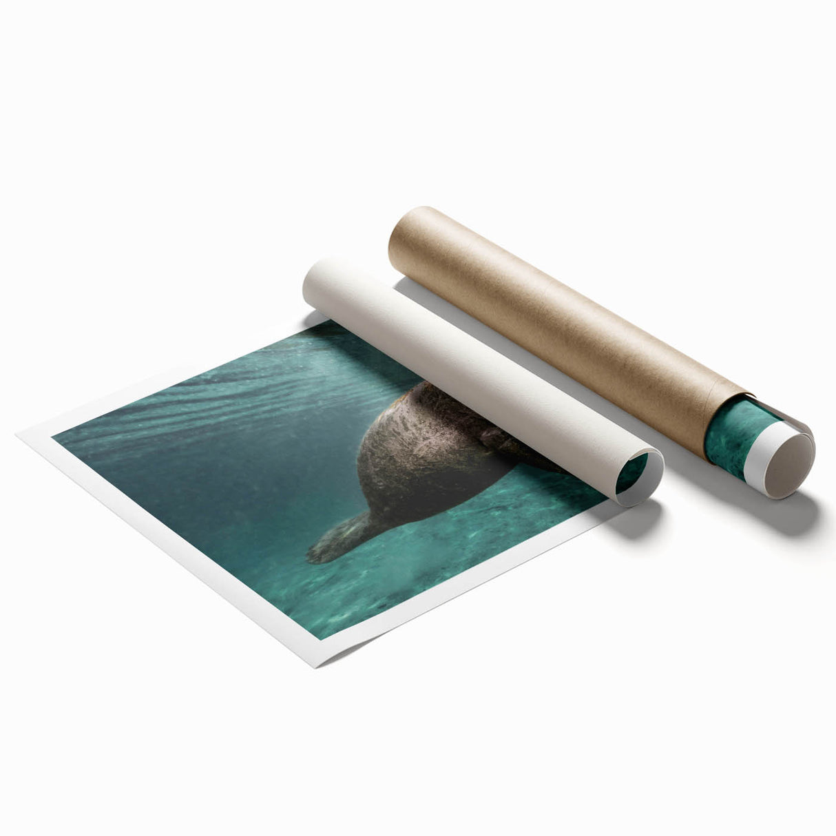 Colorful marine life wall art print featuring a playful manatee design, showcasing vibrant aquatic colors and intricate details, perfect for ocean-themed decor.