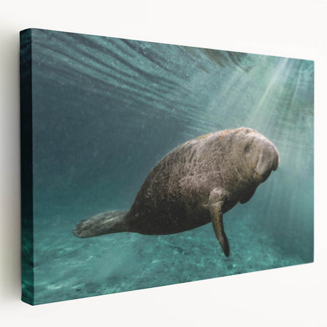 Stretched canvas wall art showcasing a vibrant marine life design featuring a manatee, with rich colors and intricate details, perfect for ocean-themed decor.