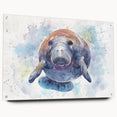 Acrylic wall art collection showcasing a vibrant marine life design featuring a graceful manatee in a side view, framed with pins for easy display.