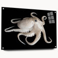 Colorful octopus wall art design on acrylic glass, showcasing intricate marine life details and vibrant hues, perfect for coastal-themed interior decor.