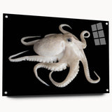 Colorful octopus wall art design on acrylic glass, showcasing intricate marine life details and vibrant hues, perfect for coastal-themed interior decor.