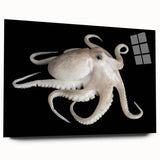 Vibrant acrylic glass wall art showcasing a detailed octopus design, highlighting marine life with a sleek side view, perfect for ocean-themed decor.