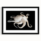 Black-framed wall art showcasing a vibrant octopus design, perfect for marine life enthusiasts, featuring intricate details and a contemporary aesthetic.