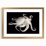 Framed wall art featuring a vibrant octopus design, showcasing intricate details with a gold frame and mat. Perfect for marine life enthusiasts and modern decor.