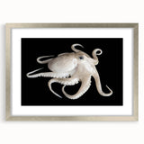 Framed wall art featuring a detailed octopus design in vibrant colors, set in a sleek silver frame with a mat, perfect for marine life enthusiasts.