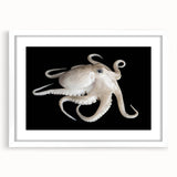 Elegant wall art featuring a marine life design of a vibrant octopus in shades of blue and orange, framed with a white mat. Ideal for ocean-themed decor.