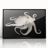 Framed wall art featuring a vibrant octopus design in a marine life theme, displayed in a black frame with an acrylic front, perfect for ocean enthusiasts.