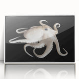 Framed wall art featuring a vibrant octopus design in shades of blue and orange, set against a crisp white background, ideal for marine-themed decor.