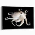 Framed canvas wall art showcasing a vibrant octopus design with intricate details and a black frame, perfect for marine life enthusiasts and home decor.